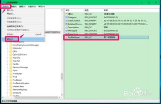 方法三：注册表编辑器 (谨慎操作！！！)