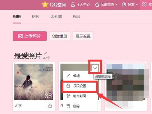 分类管理：提升专业度与用户体验