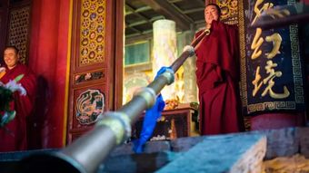 道缘与天赋异禀