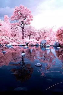 三、  建筑环境与心理投射：寺庙静力的深层解析