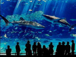 馆内体验比春运还刺激