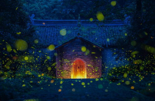 诡异开端：血纹婴儿与夜半钟鸣