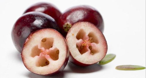 猴年健康：延年益寿