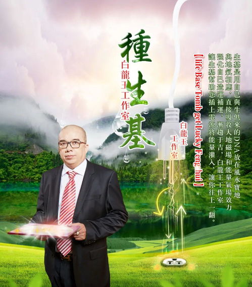 种生基：生命根基的再塑与运势转化的契机