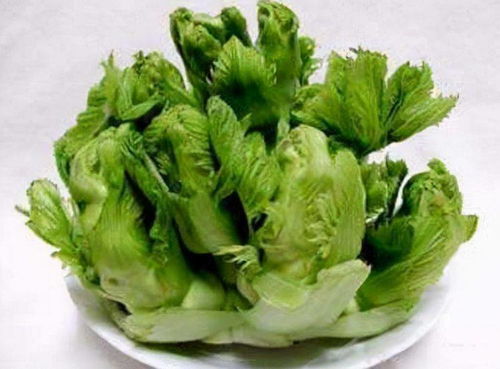 吃芥菜=败家预警？
