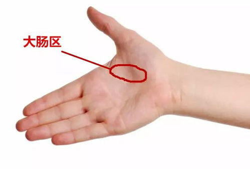 一、 童子命之定义及其文化根源