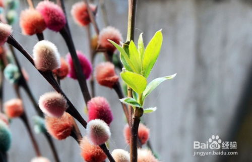 一、 生态环境需求的细化分析