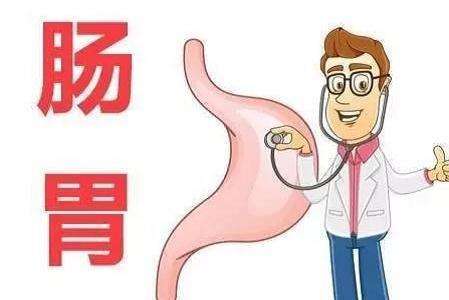 三、  生活习惯与环境力学：微观累积效应的宏观呈现