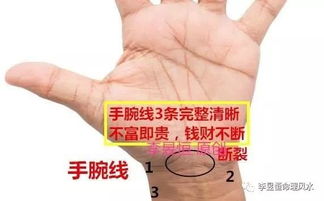 1. 手腕三角纹路：私密信息的封印之地