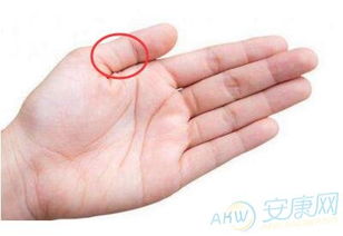 命带财库：天时地利与人和