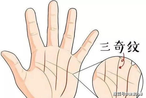 潜在危机与转折点：命运线的解读与警示