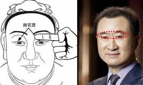 事业平平亦有横财：命理格局的多样性