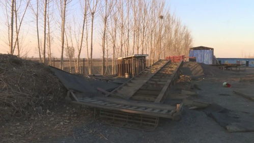 律法框架及其适用要点