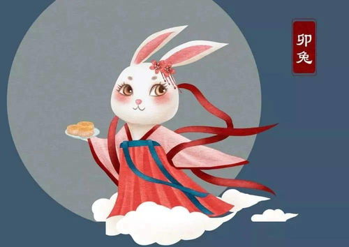 2026年属兔五行旺运穿搭，有哪些服饰搭配推荐？