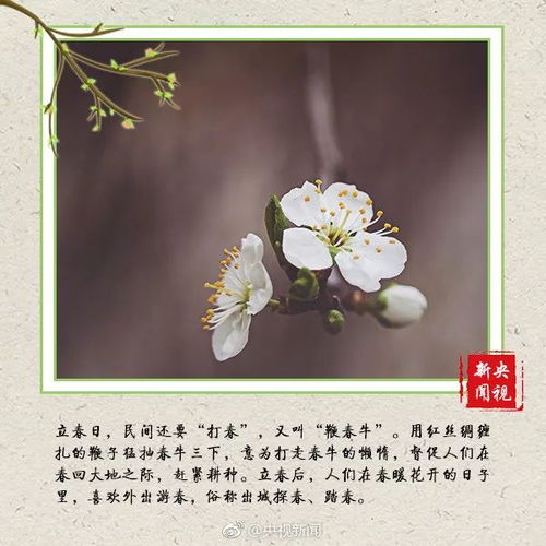 2.1 除夕至正月初一阶段（子时-丑时）