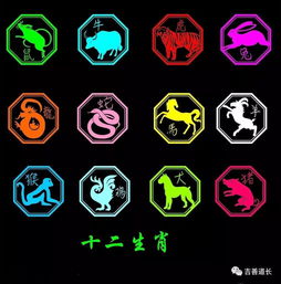 十二生肖合伙人婚姻中，如何运用十二生肖恋爱相处技巧？