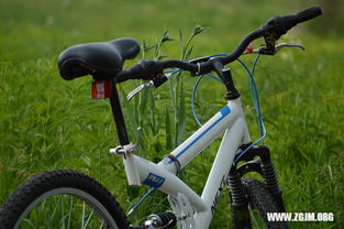 女人梦见白马拉车预示着什么吉凶？