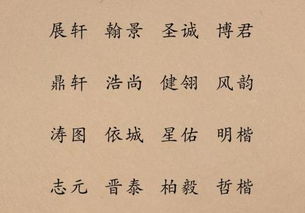 前言：张姓女孩，你可真美！(单是取名好难啊！)