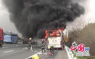 梦见他人遭受火灾被及时救出，这梦境预示着什么？