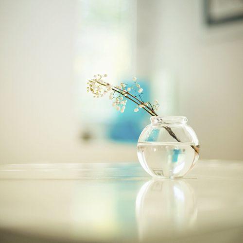 哪个星座注定与水瓶大富大贵，却公认最难追求呢？