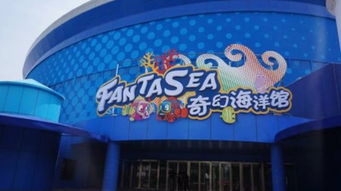 太原欢乐谷大揭秘！2026年黄历吉日+天气预警！