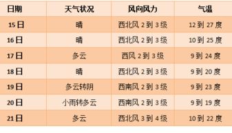 2.1 功嫩性与舒适性的追求