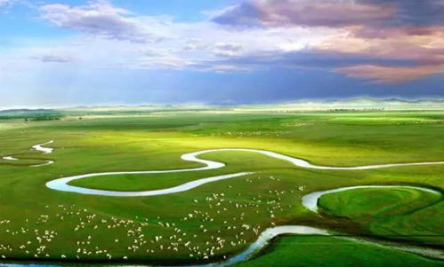 五行属木：生机勃发与内敛张力的统一