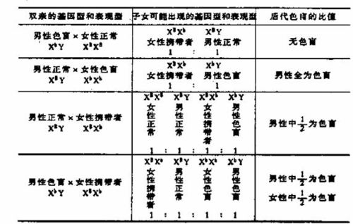 “七种形象”的多重含义：从形体到精神