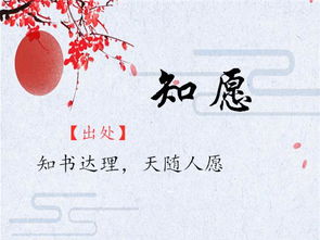 拯救你的女儿：“思”字的正确打开方式