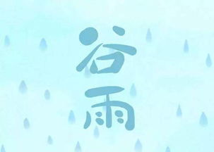 六、 最主要禁忌与注意事项综述