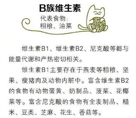 ：冬季体温调节之系统性研究概述