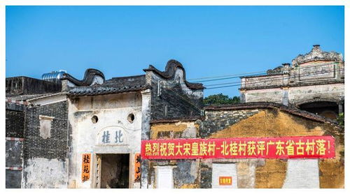 龙脉村的守护与传说起源