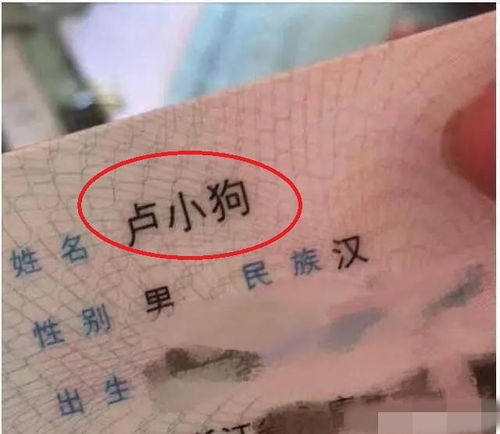 姓氏与名字的搭配艺术