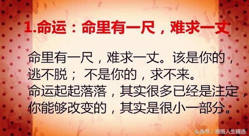 四、心态调整：应对挑战与逆境的力量源泉