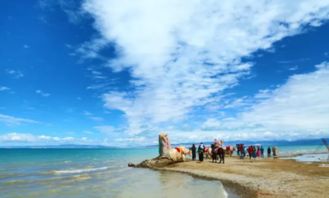 惯与距离的各种谎言与真相