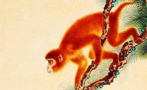 8. 燕子——候鸟般的潮流引领者