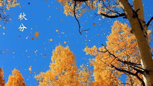 个体体验与极端气象记录：对“热”的不同感知