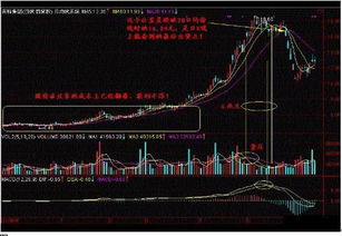 双权重度中心性指标（DWDC）的提出与验证