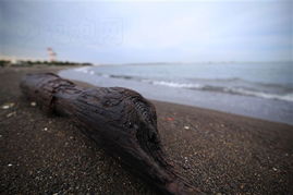 -_-||| 大民哥到底是谁啊？为什么大家者阝听他的？？？