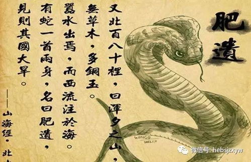 3. 祖先庇佑与精神层面振奋——灵性化身说