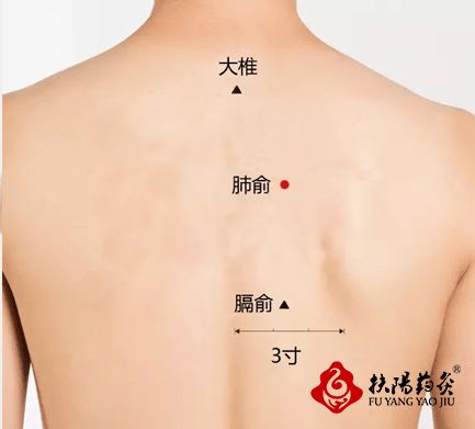 2. 左右分野与性别差异的对应关系