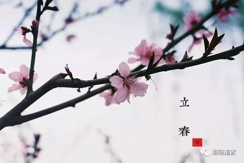 三、 躲春之禁忌及其文化底蕴根源