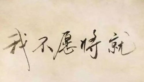 实证材料整理