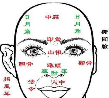 一、 头骨饱满与天长日久：基业稳固的象征