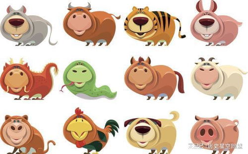 哪个生肖被认为最有魅力，哪个生肖被认为是最好的？