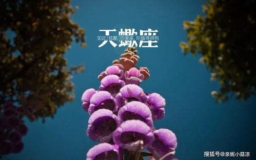 第一名：太阳或上升星座落在双鱼座