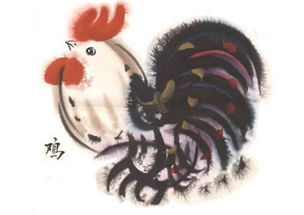 属鸡人2023年运势如何？财运、事业、健康各方面者阝有哪些变化？