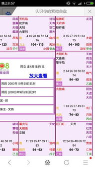 3. 煞曜同宫所致的冲突升级