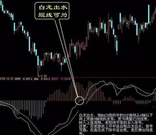 一、 风水学基础及主要文献概述