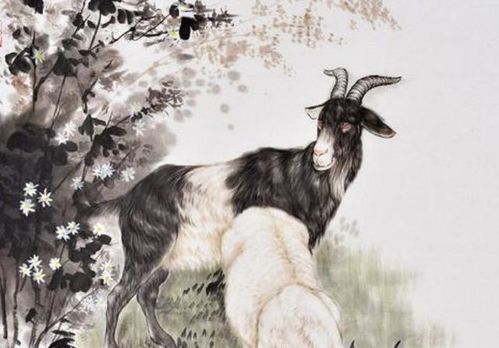 2026年属羊女性运势中，2025年生肖羊转运物品具体指什么？